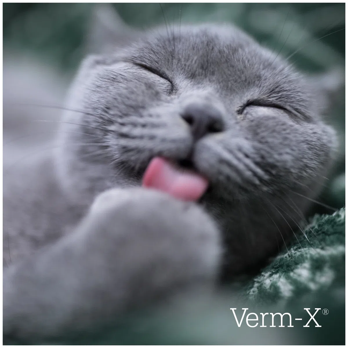 Verm-X ​​Herbal Crunchies für Katzen - 1 kg tub - Clear, Unisex, VMX0015