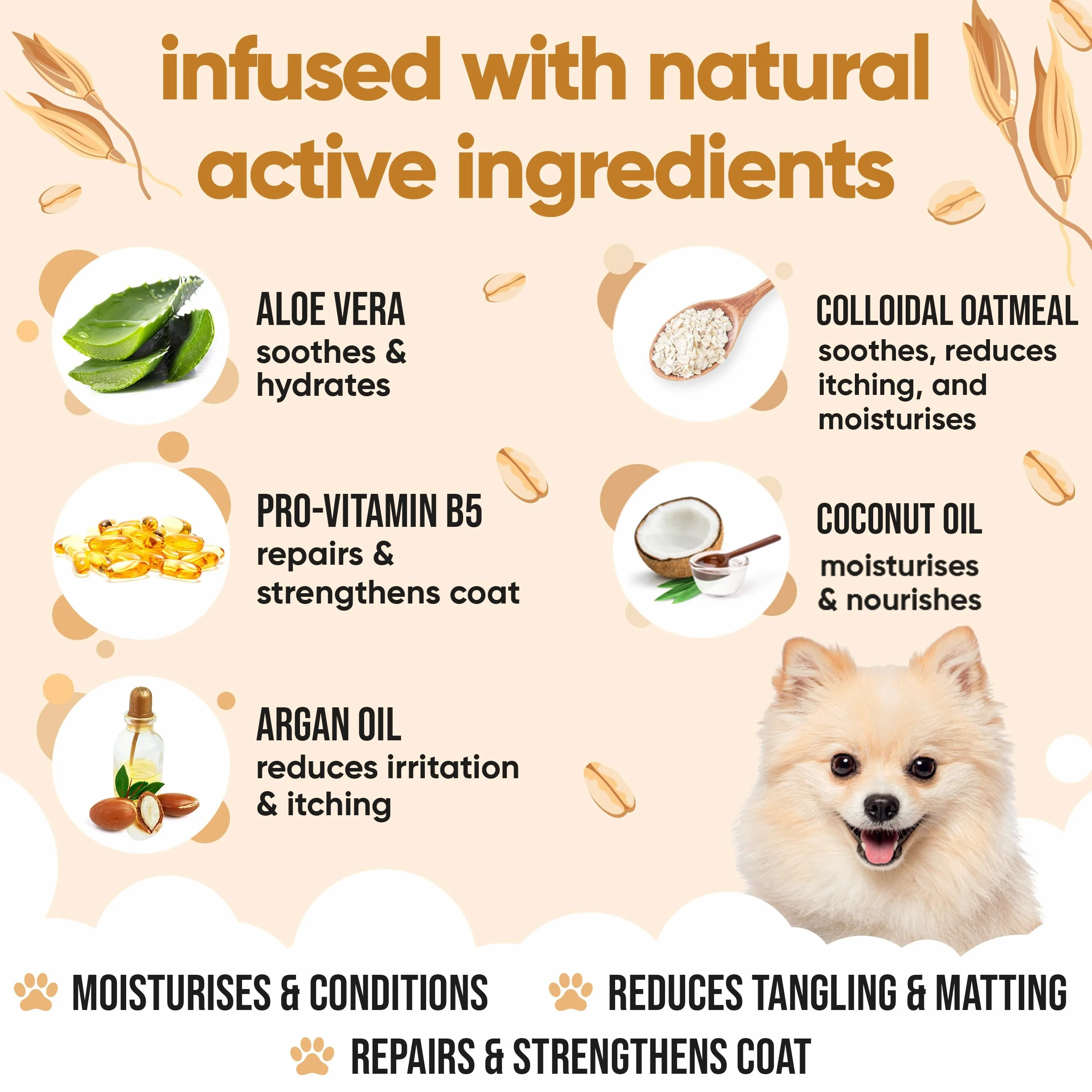 Haferflocken-Hundeconditioner von Buddycare - 500 ml - Haferbutterduftender Welpenconditioner mit Aloe Vera & Provitamin B5
