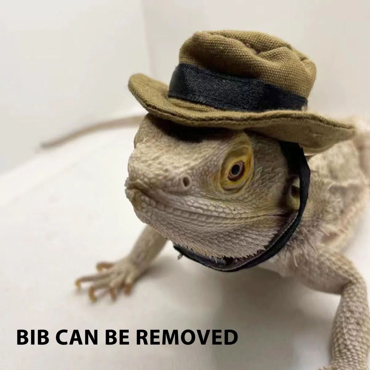 Luqeeg Reptilien-Cowboyhut, Haustier-Bandana, Verstellbares Bartagamen-Kostüm, Hut-Zubehör-Set für Eidechsen-Hamster, Kleiner Hund, Halloween-Thema, Lustige Haustier-Interaktion mit