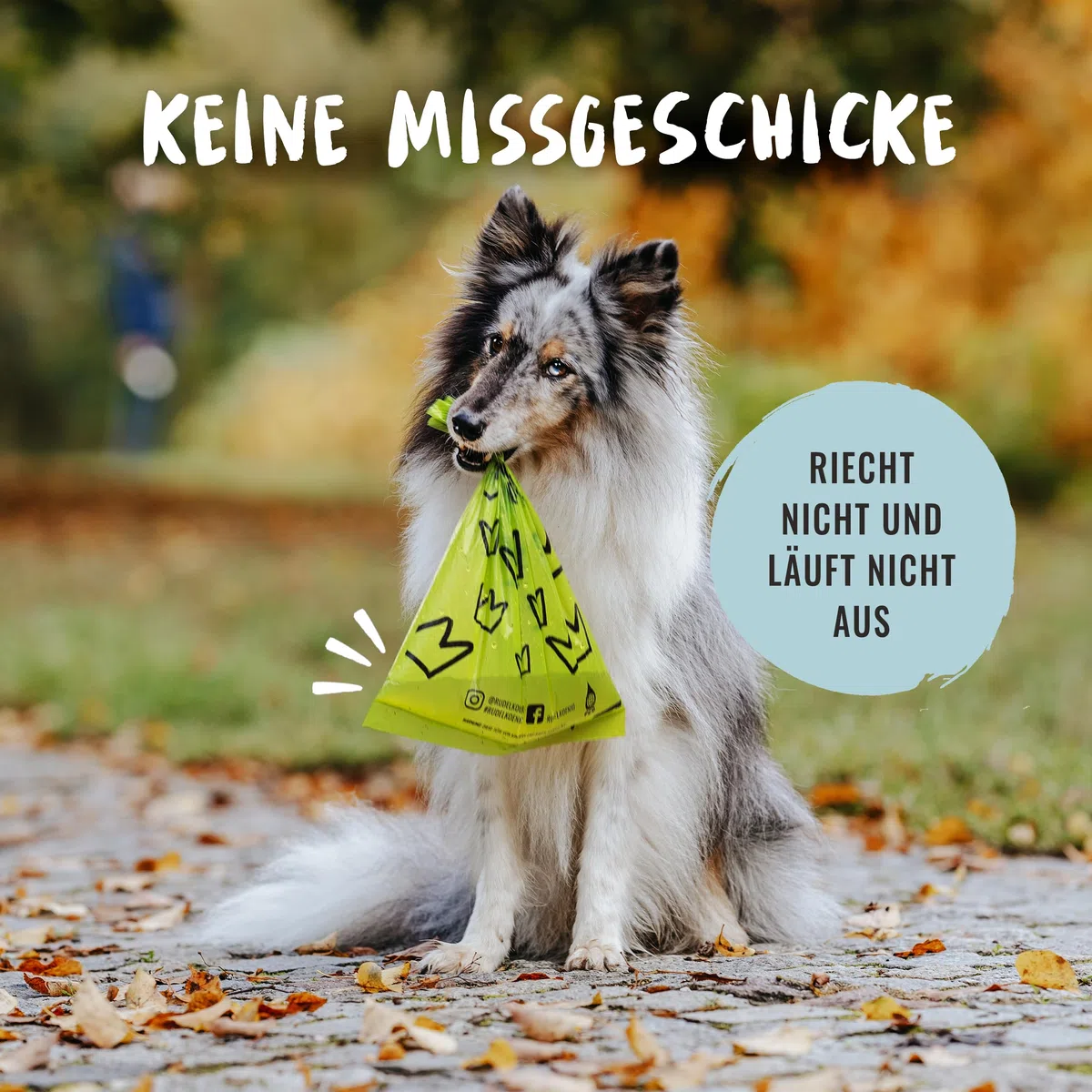 Rudelkönig Hundekotbeutel - 300 auslaufsichere Kotbeutel für Hunde aus recyceltem Kunststoff - Extra reißfeste Hunde Kotbeutel Rollen - Hundetüten Nachfüllpackung