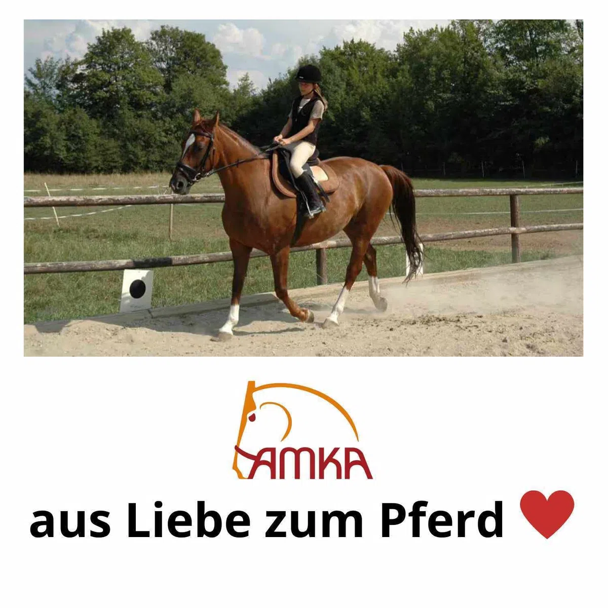 AMKA Filz Satteldecke Exclusiv VS extra starker Naturfilz mit Lederverstärkung