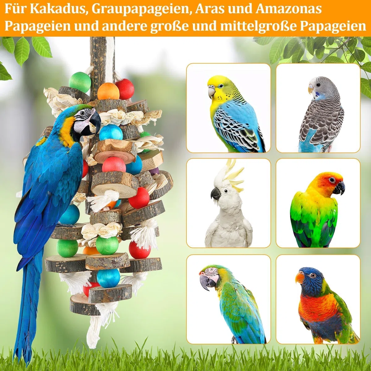 Vogelspielzeug Papagei Natürliches Kauspielzeug für Kakadus, Graupapageien, Aras und Amazonas Papageien, Mehrfarbiges Holzblockspielzeug zum Klettern, Kauen