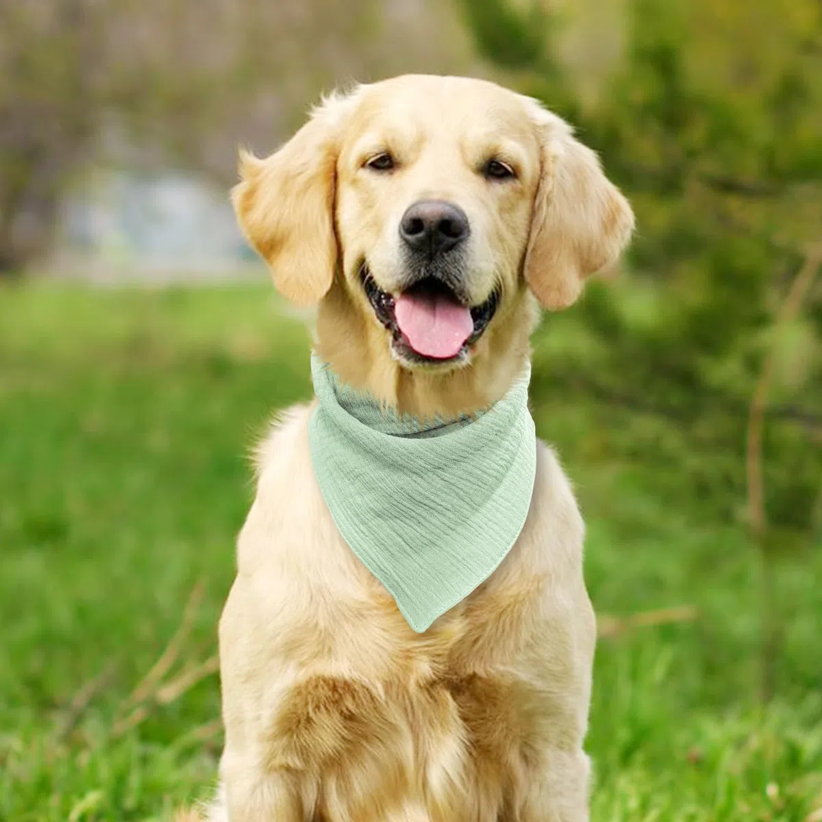 Hunde Bandana für Kleine & Mittelgroße Hunde Verstellbar mit Knopf, Weiches Baumwollmaterial, Einfarbig Erbsengrün, Stylisches Haustier Accessoire,Erbsengrün,L