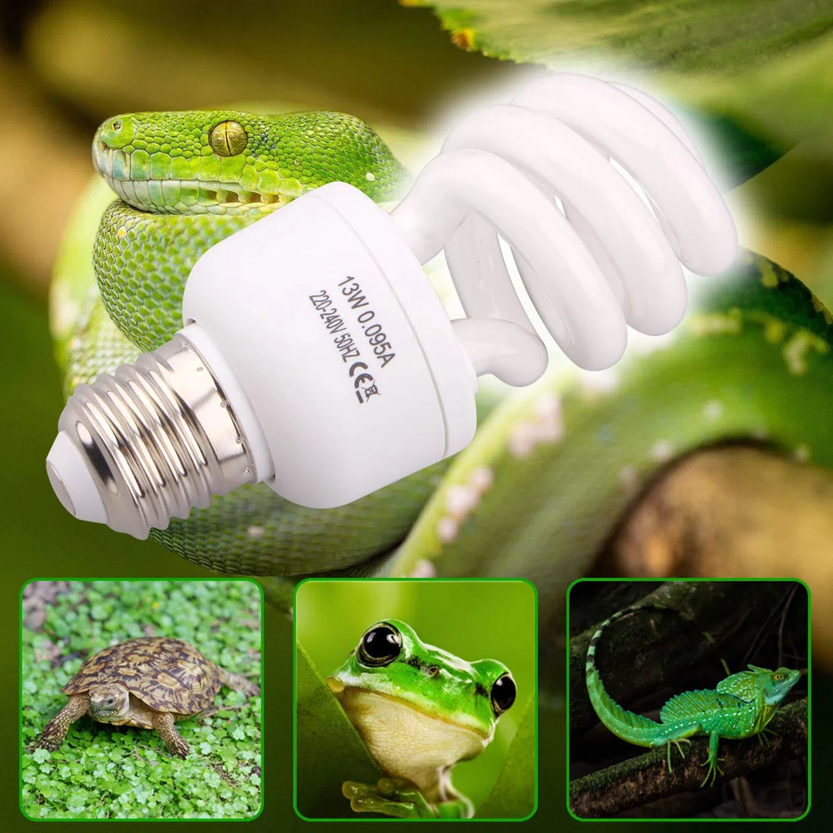 AIICIOO UVB Licht Reptilien Kit 5.0 26W - Terrarium Sonnenlicht Lampe Schildkröte Glühbirne für Bartagamen Eidechse Leopardgecko 1 Packung