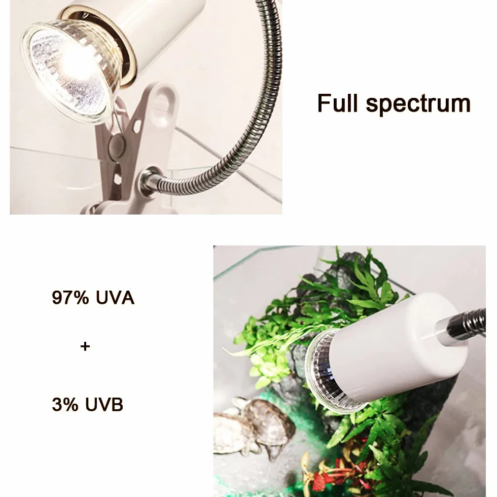 NEWFUN Schildkröte Wärmelampe,6PC E27 25W Dimmbar 220V UVA + UVB Vollspektrum-Sonnenlampe Heizung Glühbirne Sonnenbad Reptil Lampe für Lizards, Aquarienreptilien, Schildkröten, Amphibien usw