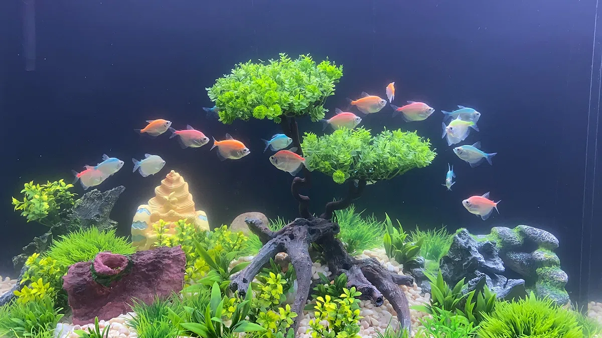 25 Stück Kunststoff Aquarium Pflanzen Baum Set, Kunststoffblumen Künstliche Aquatische Pflanzen Künstliche Fisch Tank Pflanzen für Aquarium Dekorationen