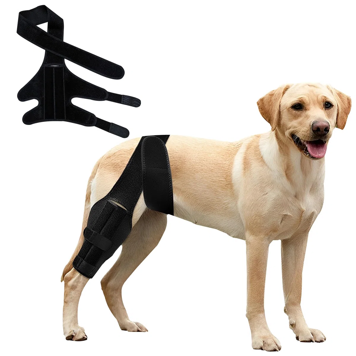 Knieorthese für Hunde bei gerissenem vorderen Kreuzband am Hinterbein, verstellbare Hüftstütze für Hunde bei Patellaluxation, Hundebeinorthese für Hinter- oder Vorderbein seitlichen Stabilisatoren (M)